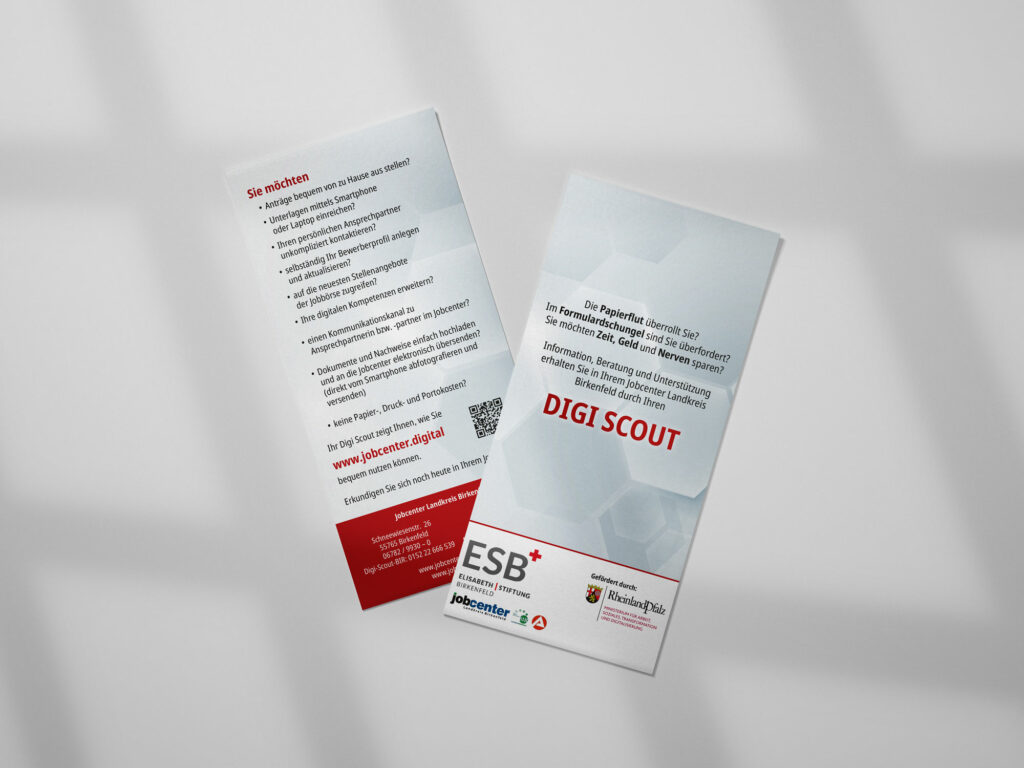 Flyer Digiscout
